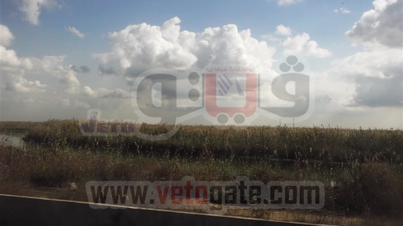 احدي صور البحيره