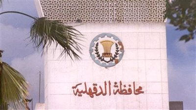 قرارات العليا للانتخابات بشأن «الانتخابات التكميلية» بالدقهلية