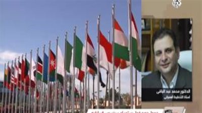 أستاذ تخطيط: تفعيل الحكومة الإلكترونية يغنينا عن «العاصمة الإدارية»