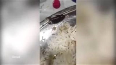 بالفيديو.. رد فعل غريب لعربي يعثر على حشرة في طبق الأرز