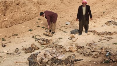 اكتشاف مقبرة جماعية لعناصر تنظيم بيت المقدس جنوب رفح