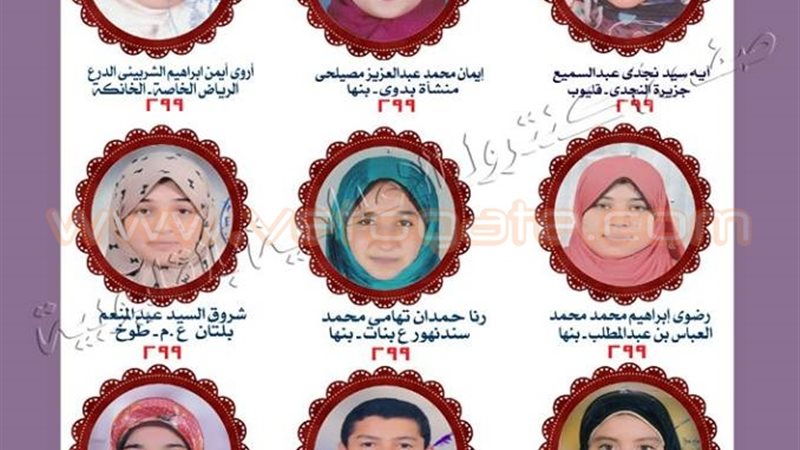 فيتو
