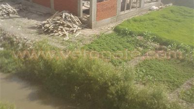 بالصور.. تعديات جديدة على الأراضي الزراعية بنادي الصيد