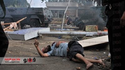 الشبكة العربية تستنكر استهداف الصحفيين خلال فض اعتصامات رابعة والنهضة