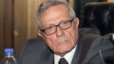 الريدي: جلسة مجلس الأمن 