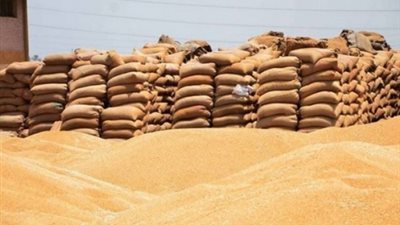 توريد 1.5 مليون أردب قمح لشون الفيوم حتى الآن