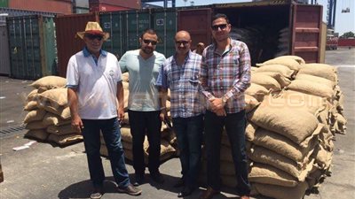 بالصور.. إحباط تهريب 6010 كيلو جرامات «جوزة الطيب» بميناء بورسعيد