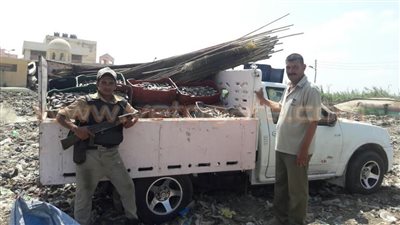 ضبط سيارة محملة بكميات كبيرة من زريعة الأسماك بكفر الشيخ