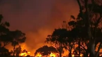 بالفيديو.. حرائق أستراليا تدمر أكثر من مائة منزل