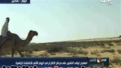 بالفيديو.. بدوى يقطع 30 كيلو مترا على ظهر جمل للإدلاء بصوته