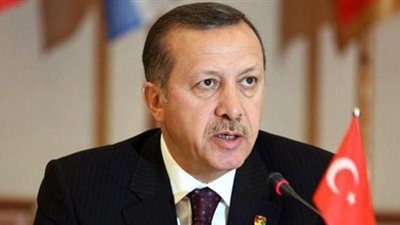 أردوغان: عازمون على منع عملية الموصل من التسبب في «دماء ونار»