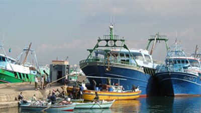 وصول شحنة قمح من روسيا إلى ميناء الإسكندرية