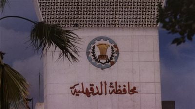 موظف يربط نجله في عمود إنارة لتأديبه عقب معاكسة فتاة بالدقهلية