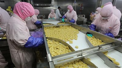 لحم قرود وسماد في السكر.. فضائح جديدة تهز أوروبا