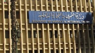 غرفة القاهرة: تعهد «التموين» باستيراد الأعلاف يخفض سعر الدواجن