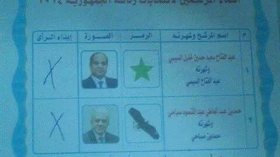 مواطن يكتب على استمارة الانتخابات 