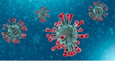 استشاري مناعة يكشف معلومة جديدة عن فيروس كورونا |فيديو