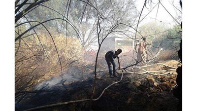 السيطرة على حريق باحدى المزارع في الوادى الجديد