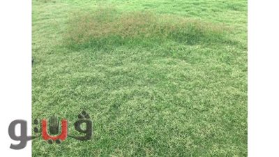 ازمة في استاد غزل المحلة قبل استئناف النشاط الرياضي ... تعرف علي السبب