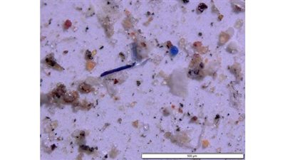 السماء تمطر خرزا وشظايا بلاستيكية  غرب الولايات المتحدة