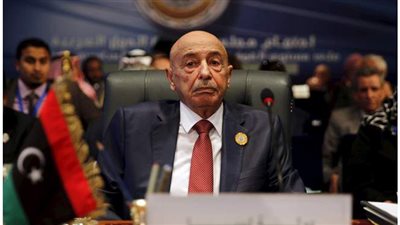 مجلس النواب الليبي يرحب بدعوة فرنسا وألمانيا وإيطاليا لوقف إطلاق النار