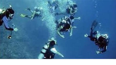 السياحة تحذر مراكز الغوص من استئناف أنشطتها  دون الحصول على التراخيص