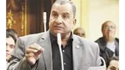 برلمانى: انتخابات النواب فى موعدها طبقا للدستور.. والشيوخ بيد 