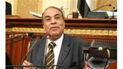 كمال أحمد:  قرار إجراء الانتخابات البرلمانية تحدده الهيئة الوطنية للانتخابات