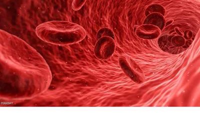 قصور الدورة الدموية والتهاب الأعصاب الطرفية أهم مسببات القدم السكرية