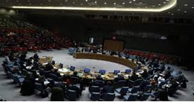 مندوب إستونيا بمجلس الأمن: التفاوض السلمي الحل الوحيد لأزمة سد النهضة