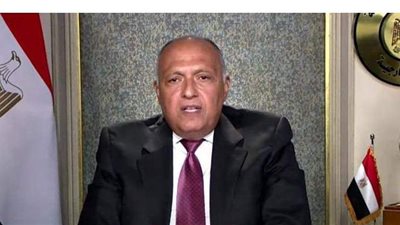 دبلوماسية الحسم.. نص كلمة سامح شكري حول سد النهضة بمجلس الأمن