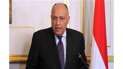 الدفاع عن البقاء ليس محض اختيار.. هاشتاج سامح شكري يتصدر تويتر