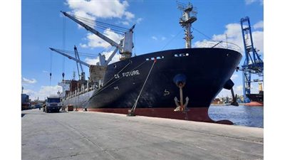 نشاط مكثف في حركة السفن بميناء الإسكندرية