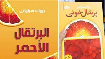 المجمع الثقافي المصري ينشر رواية 