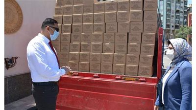 دعم منظومة إنارة الشوارع والميادين في الدقهلية | صور