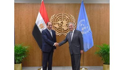 30 يونيو ثورة انتشال مصر من الانهيار إلى الريادة.. والسيسي أول رئيس يشارك في 28 قمة إقليمية ودولية خلال عام