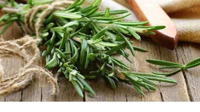 الروزماري يقوي ذاكرة طلاب الثانوية العامة ويرفع مناعتهم
