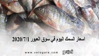 اسعار السمك اليوم في سوق العبور 2020/7/1