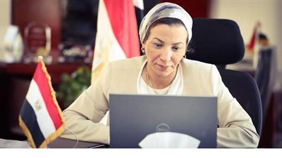 البيئة: فوز مشروع صون الطيور الحوامة المهاجرة بجائزة الطاقة العالمية