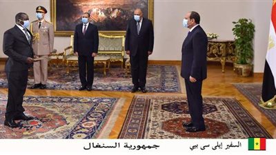 بالأسماء.. السيسي يتسلم أوراق اعتماد ستة سفراء جدد مؤكدا تعزيز العلاقات مع دولهم | صور