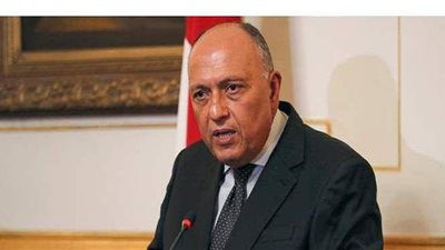 وزير الخارجية:  سد النهضة يشكل خطرا داهما علي مصر والسودان حال انهياره| فيديو