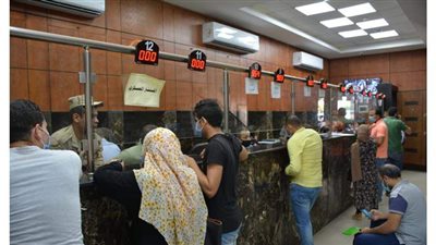 شروط وطريقة الحصول على مشروع في شارع 306 بالمنصورة