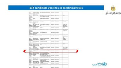وزير التعليم العالي: نطور 4 لقاحات و3 أدوية لعلاج فيروس كورونا