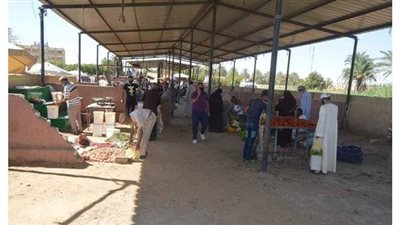 إعادة تشغيل سوق المروة في الوادي الجديد وإلزام البائعين بارتداء الكمامة