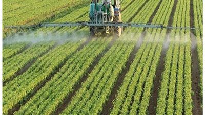 الزراعة : التوسع في تنمية شمال ووسط سيناء أهم الإنجازات الزراعية في الست سنوات الأخيرة