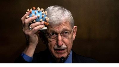 المعاهد الأمريكية للصحة: متفائلون بإنتاج لقاح فعال ضد كورونا 2020