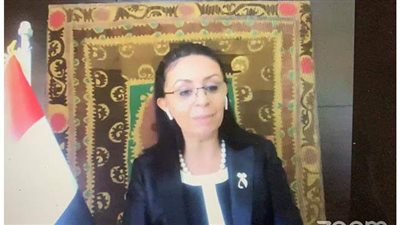 المجلس القومي للمرأة يتتبع أزمة شاب ارتكب العديد من وقائع الاغتصاب