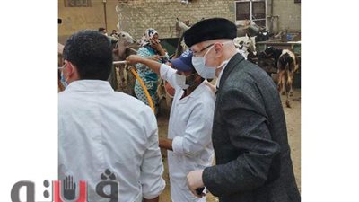 قافلة بيطرية وأدوية مجانية  بقرية «ميت الليث» بالغربية