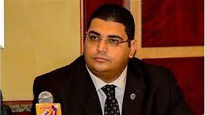 النمس : 30 يونيو أنقذت الشعب وساهمت في تحقيق النهضة الاقتصادية