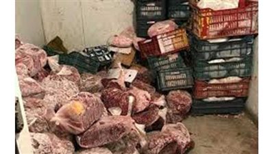 ضبط لحوم تحمل أختاما مزورة في الإسماعيلية | صور